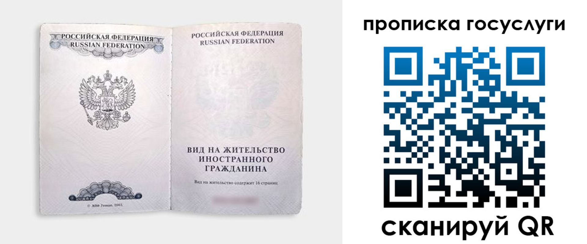 где прописаться в Тимашёвске